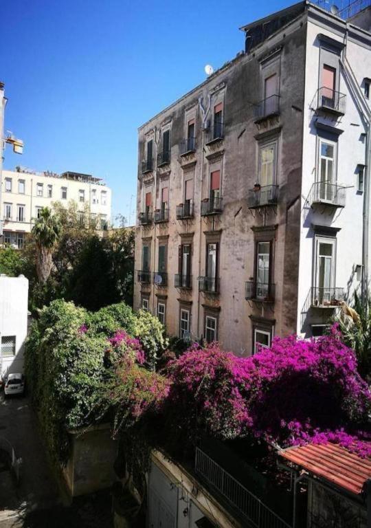 Domus Luigi Leone 2 Bed and Breakfast Napoli Eksteriør billede